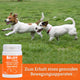 BELISY > Gelenk Komplex < Gelenktabletten für Hunde & Katzen - 100 Tabletten