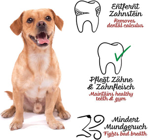 BELISY Zahnpflege für Hunde - 110 g