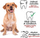 BELISY Zahnpflege für Hunde - 110 g