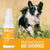 BELISY Juckreiz Spray für Hunde - 100 ml