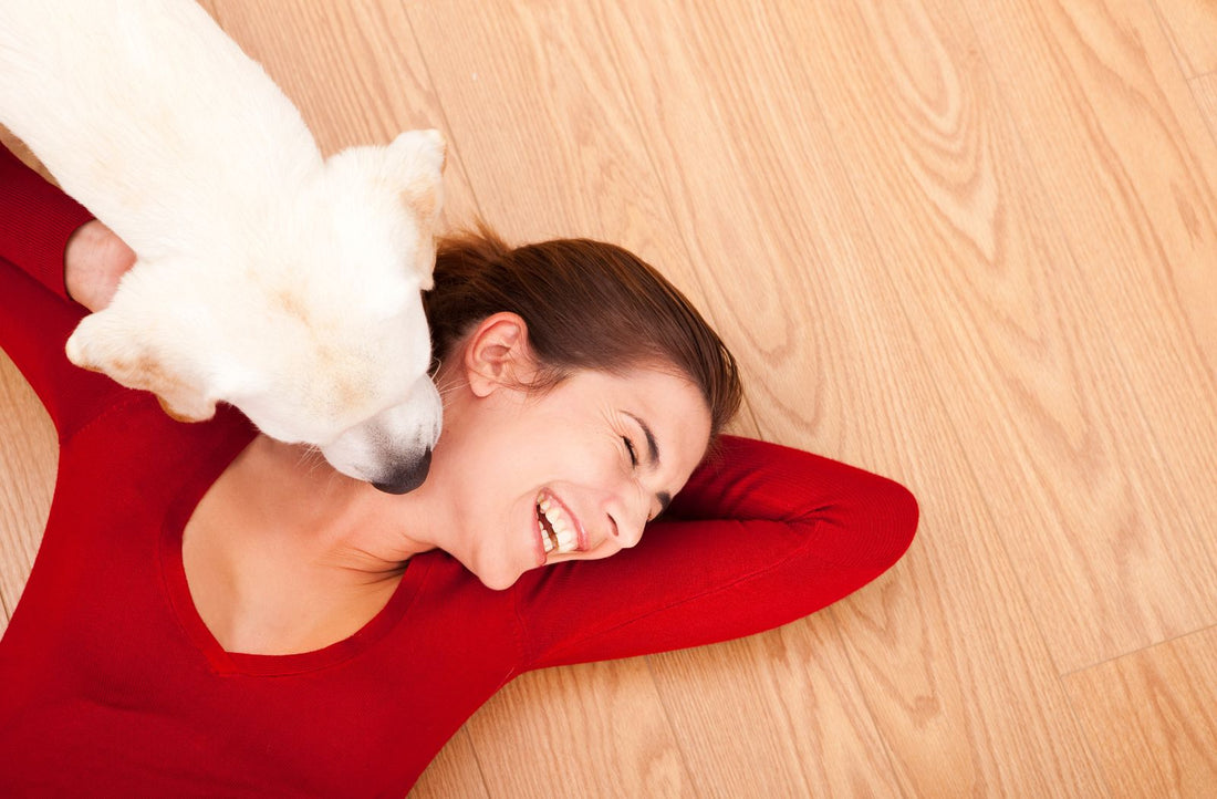 Hund leckt liegende Frau ab. Warum leckt mein Hund mich ständig ab.
