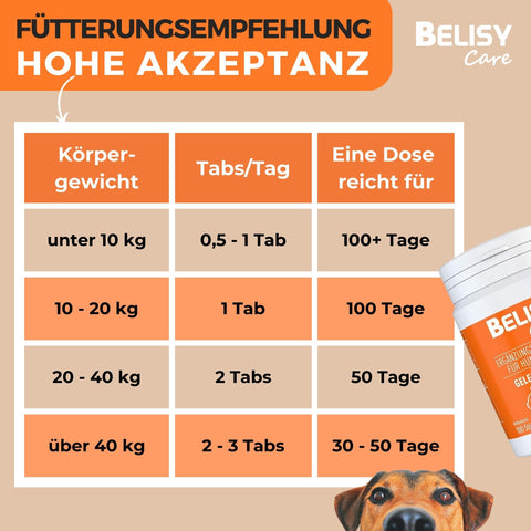 BELISY > Gelenk Komplex < Gelenktabletten für Hunde & Katzen - 100 Tabletten