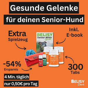 Hunde Senior Gelenk Set