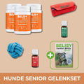 Hunde Senior Gelenk Set