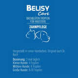 BELISY Bachblüten Zahnpflege Tropfen für Hunde - 20 ml