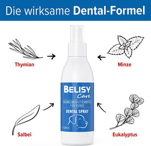 BELISY Dentalspray für Hunde - Zahnpflege - 200ml