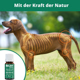 BELISY Grünlippmuschel Bachblüten Globuli für Hunde & Katzen - 10 g