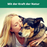 BELISY Grünlippmuschel Bachblüten Globuli für Hunde & Katzen - 10 g