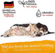 BELISY Bachblüten Globuli für Hunde & Katzen - gegen Juckreiz - 10 g