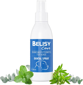 BELISY Care Spray Set
