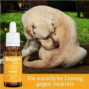 BELISY Juckreiz Bachblüten Tropfen für Hunde & Katzen - gegen Juckreiz - 20 ml