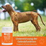 Gelenk Komplex - Natürlich bei Gelenkproblemen – Unterstütze deinen Hund mit einer hochwirksamen Wirkstoffformel!