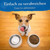 BELISY Zahnpflege Bachblüten Globuli für Hunde & Katzen - 10g
