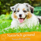 BELISY Bachblüten Globuli für Hunde & Katzen - gegen Juckreiz - 10 g