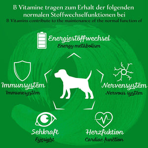 BELISY Vitamin B Komplex für Hunde & Katzen - 100 Tabletten