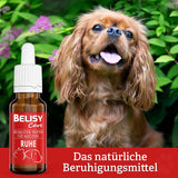 BELISY RUHE Bachblüten Tropfen für Hunde - 20ml