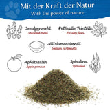 BELISY Zahnpflege für Hunde - 110 g
