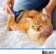 BELISY Hundebürste/Katzenbürste mit Fellkamm I Perfekte Fellpflege im Set