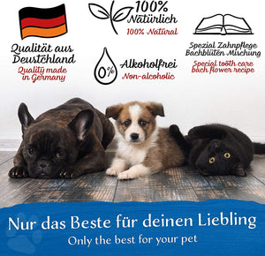 BELISY Zahnpflege Bachblüten Globuli für Hunde & Katzen - 10g