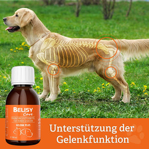 BELISY - Gelenk Plus - Gelenk Tropfen für Hunde & Katzen - 100 ml