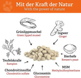 Gelenk Komplex - Natürlich bei Gelenkproblemen – Unterstütze deinen Hund mit einer hochwirksamen Wirkstoffformel!