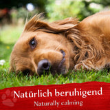 BELISY RUHE Bachblüten Globuli für Hunde & Katzen - 10g