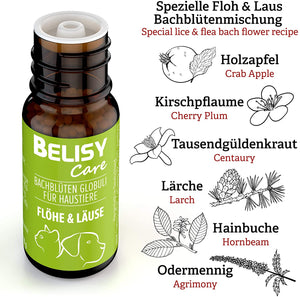 BELISY Läuse & Flöhe Bachblüten Globuli für Hunde & Katzen - 10g