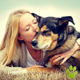BELISY Läuse & Flöhe Bachblüten Globuli für Hunde & Katzen - 10g