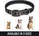 BELISY Hundehalsband Reflektierend aus Nylon I einfach verstellbar I Schwarz