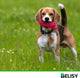 BELISY Futterbeutel für Hunde - von Trainern empfohlen - Leckerlie Beutel
