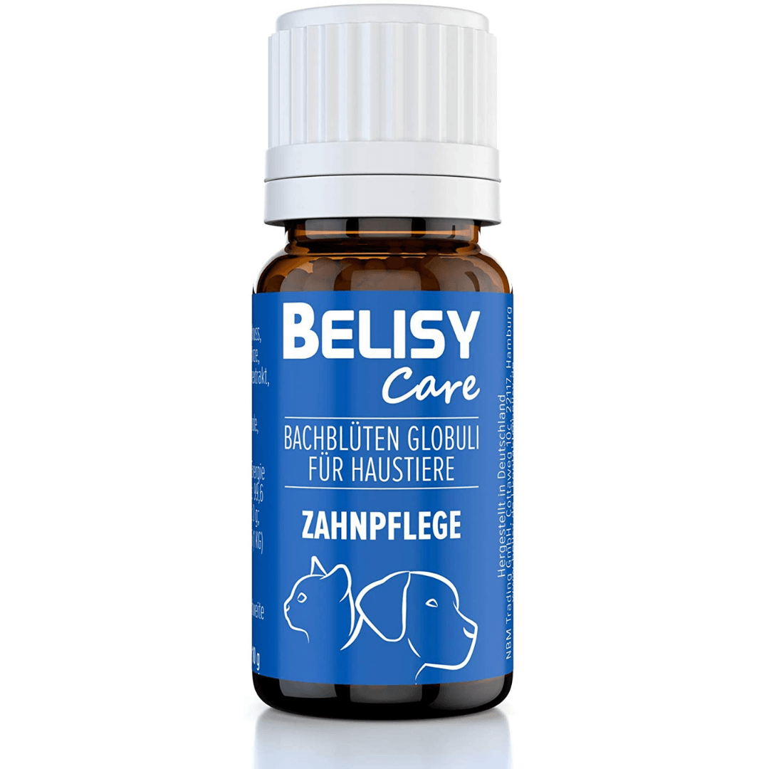 BELISY Zahnpflege Bachblüten Globuli für Hunde & Katzen - 10g