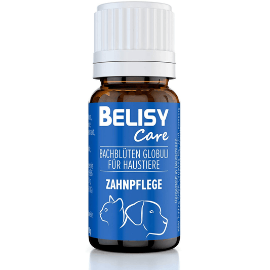 BELISY Zahnpflege Bachblüten Globuli für Hunde & Katzen - 10g