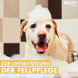 BELISY Care Juckreiz Shampoo - 200ml
