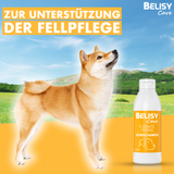 BELISY Care Juckreiz Shampoo - 200ml